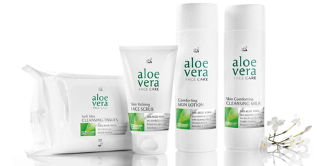 Aloe Vera Aloe Vera