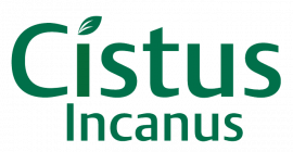 Cistus incanus