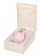 Guido Maria Kretschmer Eau de Parfum for Women Guido Maria Kretschmer Eau de Parfum for Women